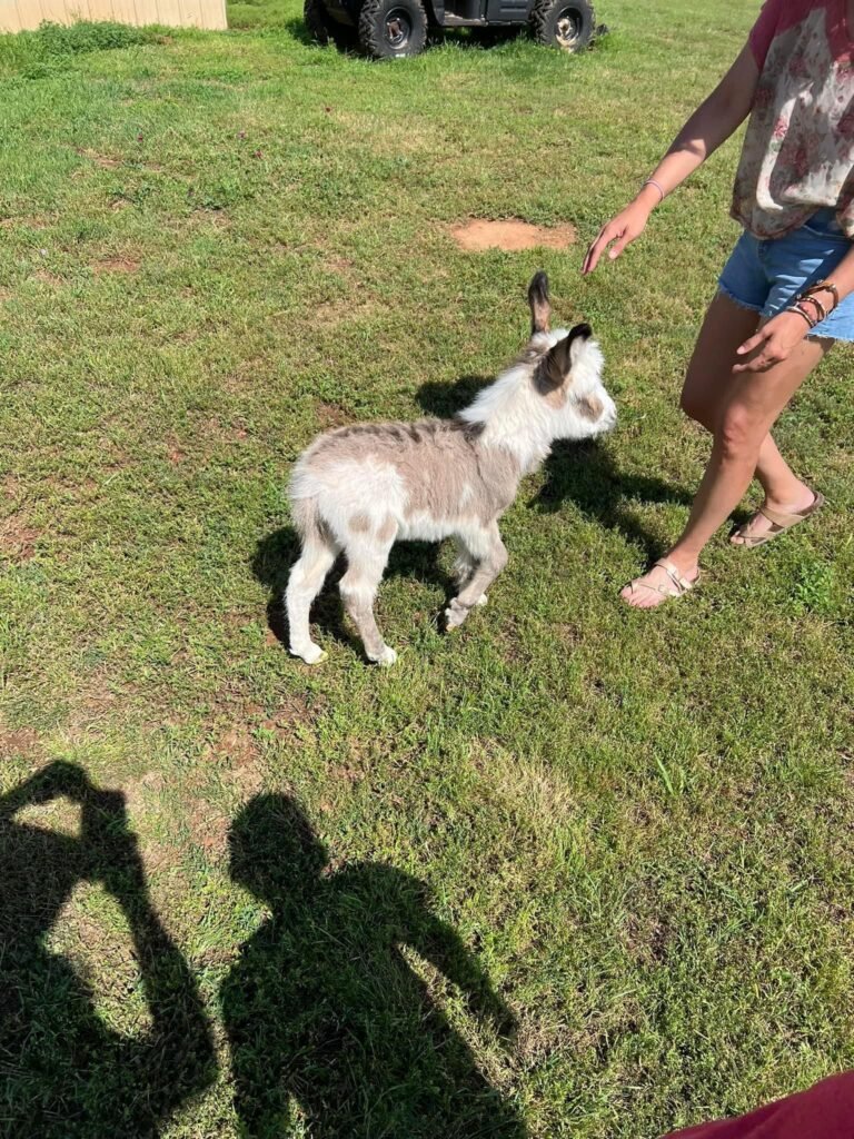 img 3617